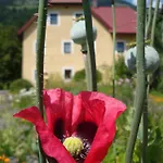 Rinntaverne Apartamento