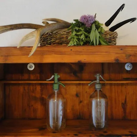 Rinntaverne דירה *