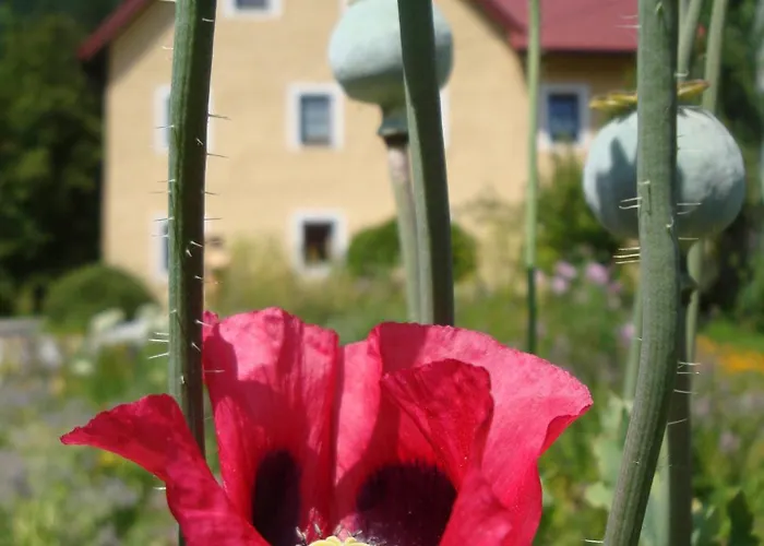 Rinntaverne Apartment