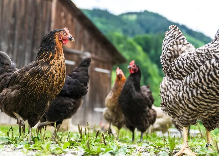 Rinntaverne Apartment